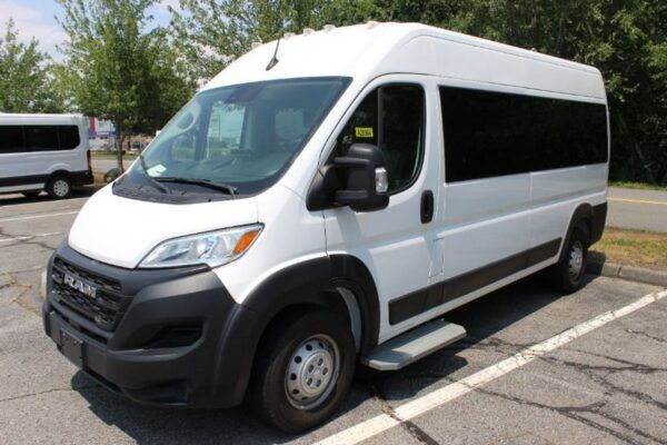 White Ram ProMaster with Driverge Rear Entry Automatic Fold Out conversion